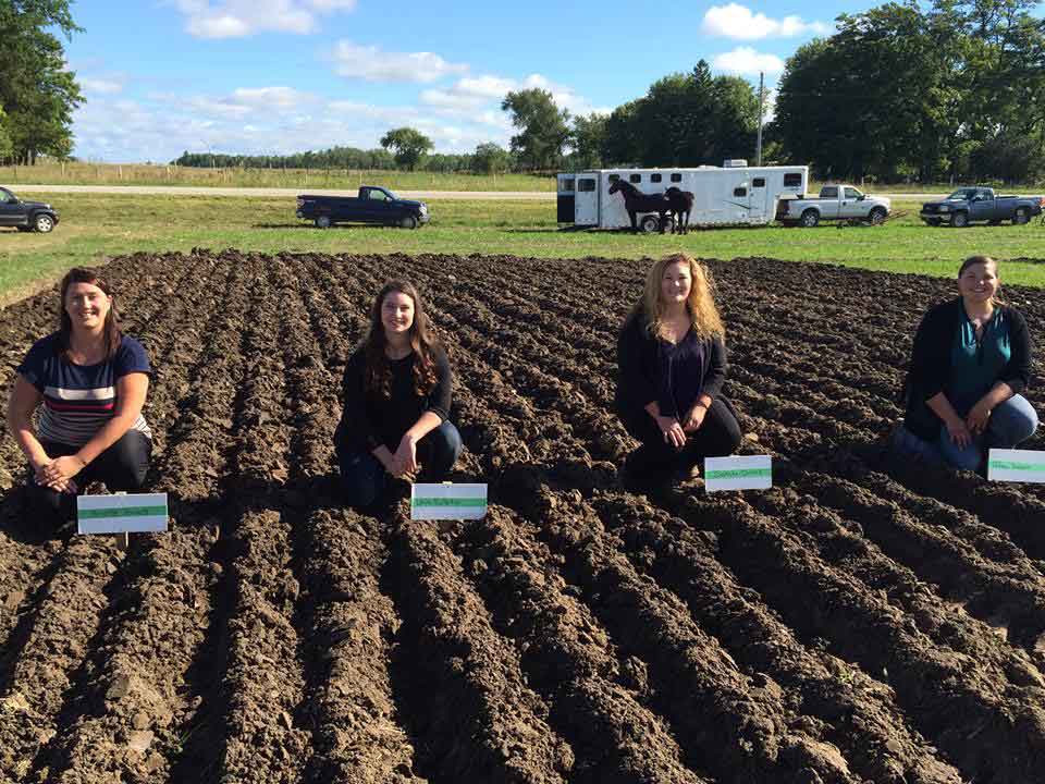 Bruce County Plowing Match